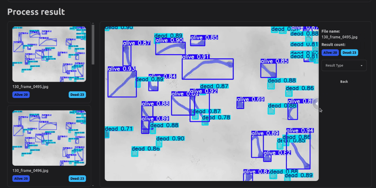 AI Pollen Detection in Action