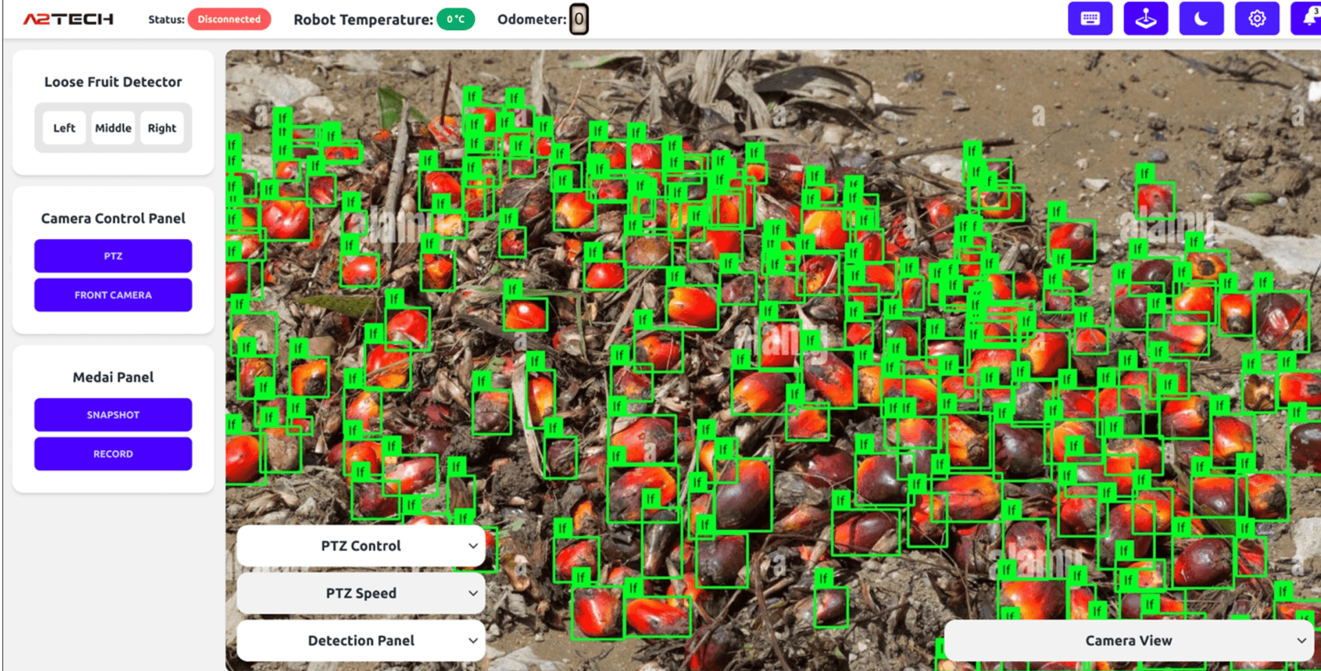 AI Detection