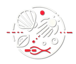 Marine Life Detection